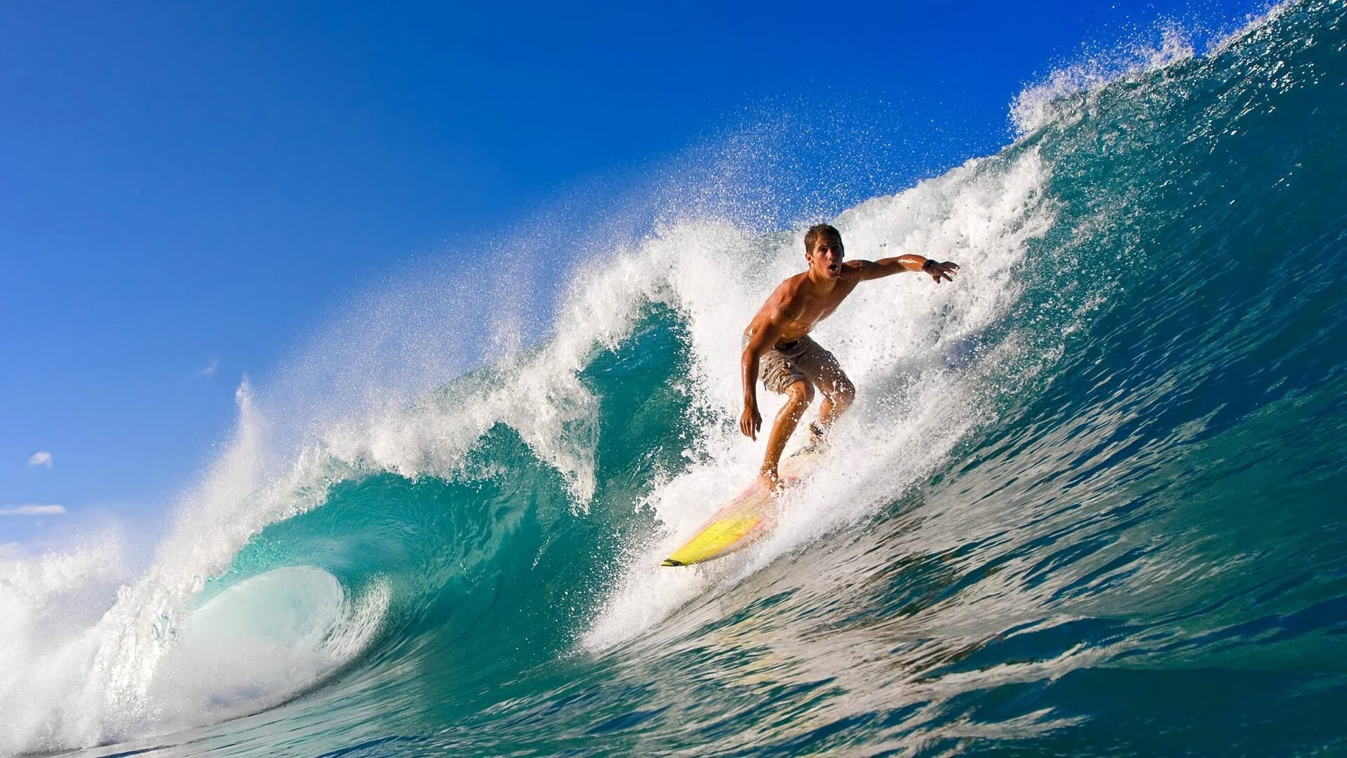 开云官方平台-破局与新王，威廉姆斯横扫迈凯伦之夜，皮亚斯特里如何惊艳四座